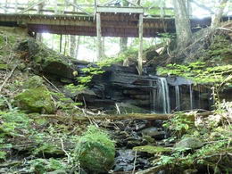 Waterfall and Bridge - Country homes for sale and luxury real estate including horse farms and property in the Caledon and King City areas near Toronto